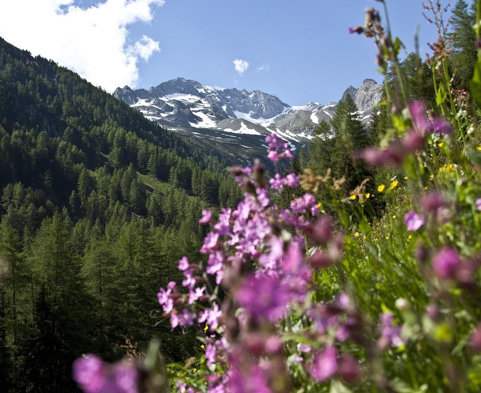 Hotel Muehlenerhof Campo Tures